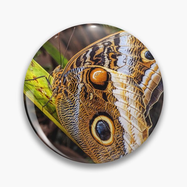 Item preview, Butterfly designed and sold by AJTees99.