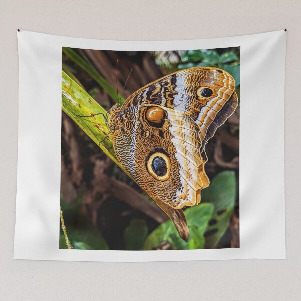 Item preview, Butterfly designed and sold by AJTees99.