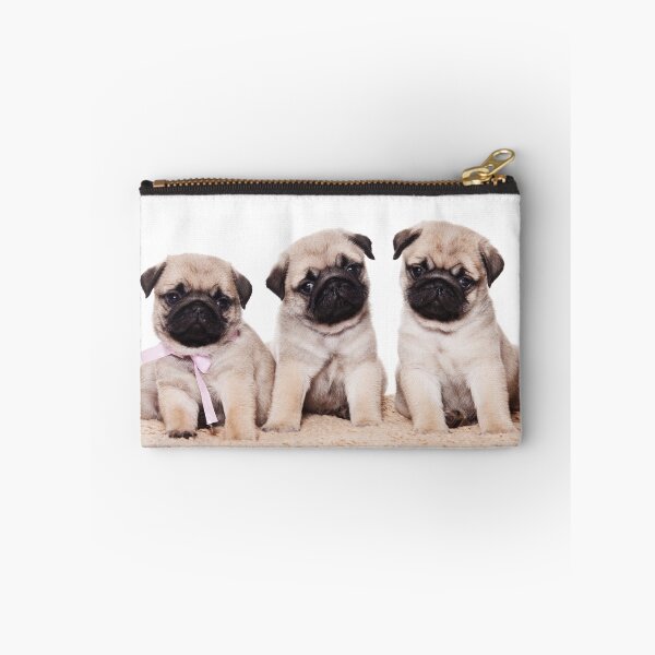 Item preview, Three pug puppy designed and sold by utekhina.