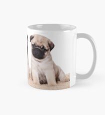 Three pug puppy Mug