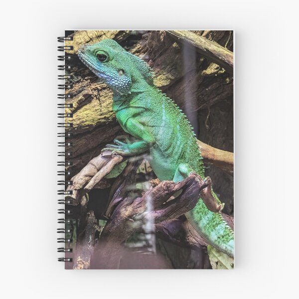 Item preview, Lizard designed and sold by AJTees99.