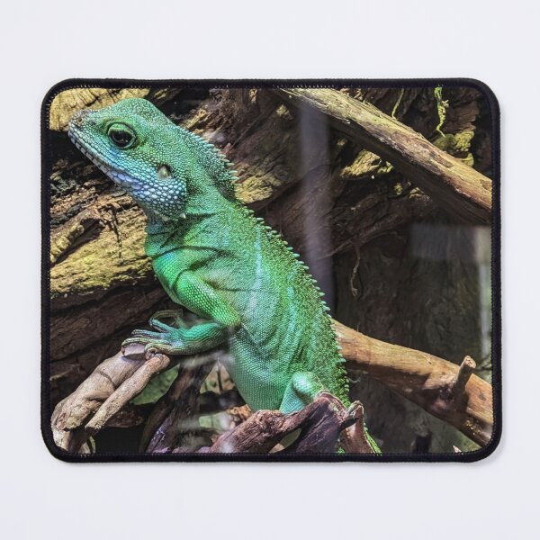 Item preview, Lizard designed and sold by AJTees99.