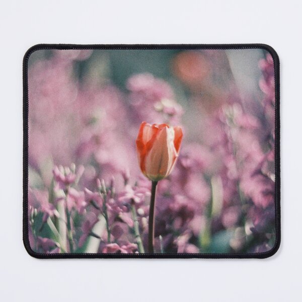 Item preview, Single Red Tulip In A Sea Of Purple Flowers designed and sold by Raymondvfoor.