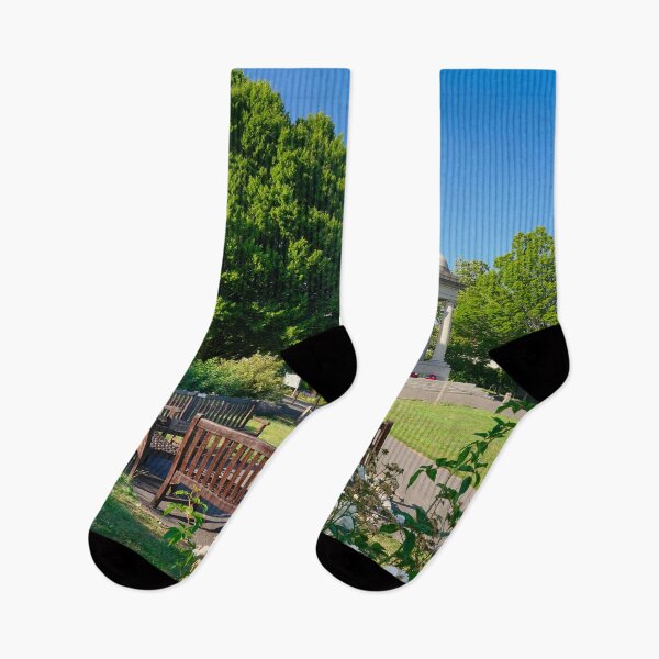 Item preview, Vivary Park Taunton designed and sold by Alisonchambers2.