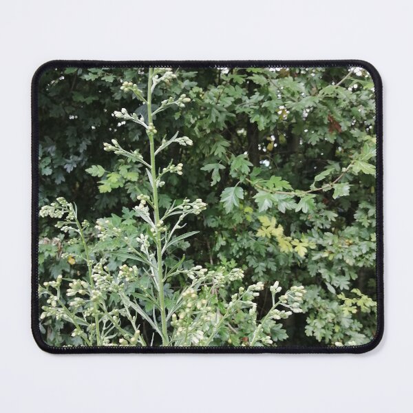 Item preview, Wild Green Botanical Plant designed and sold by PhuongVoArt.