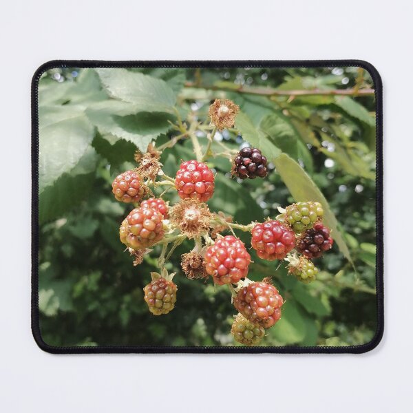 Item preview, Wild Blackberry Berries designed and sold by PhuongVoArt.