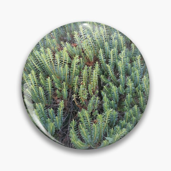 Item preview, Evergreen Garden Shrub designed and sold by PhuongVoArt.
