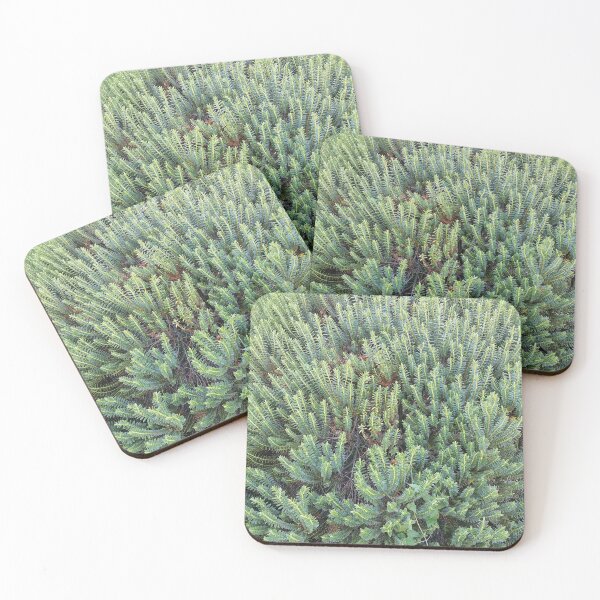 Item preview, Evergreen Garden Shrub designed and sold by PhuongVoArt.