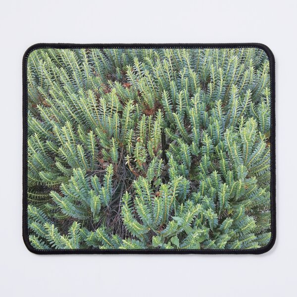 Item preview, Evergreen Garden Shrub designed and sold by PhuongVoArt.