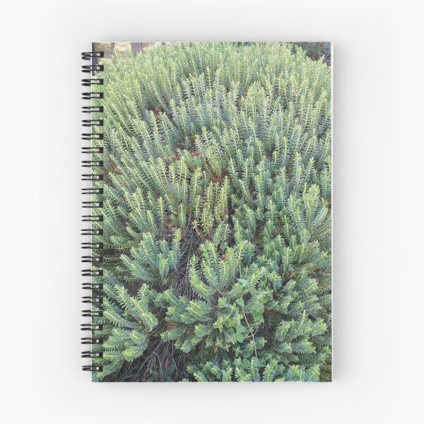 Item preview, Evergreen Garden Shrub designed and sold by PhuongVoArt.