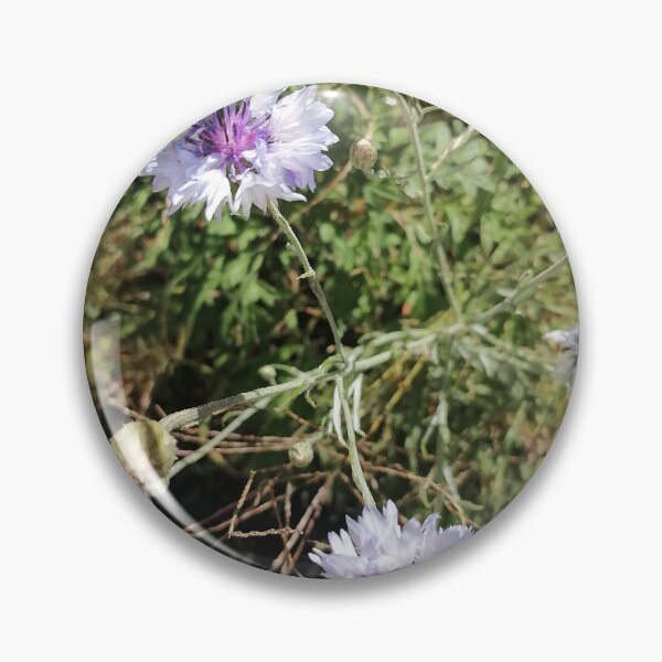 Artikelvorschau, Cornflower Wildflower entworfen und verkauft von PhuongVoArt.