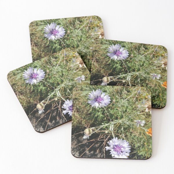 Item preview, Cornflower Wildflower designed and sold by PhuongVoArt.