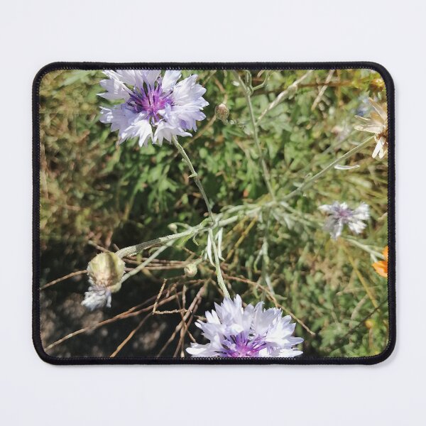 Item preview, Cornflower Wildflower designed and sold by PhuongVoArt.