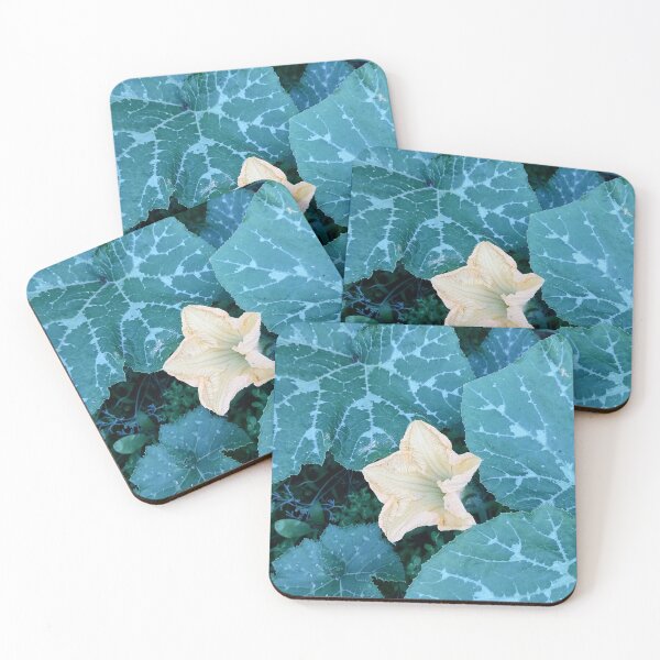 Item preview, Pale Yellow Squash Blossom designed and sold by PhuongVoArt.