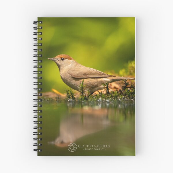Item preview, Serene Female Blackcap by the Water designed and sold by cgnature1983.
