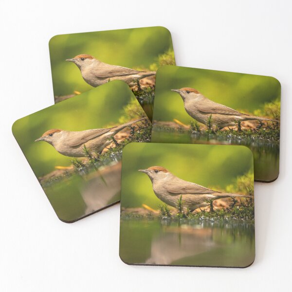 Item preview, Serene Female Blackcap by the Water designed and sold by cgnature1983.