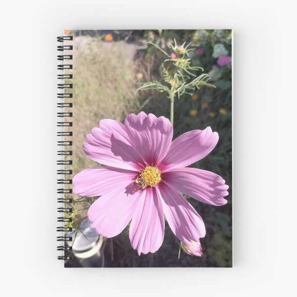 Item preview, Pink Cosmos Flower designed and sold by PhuongVoArt.
