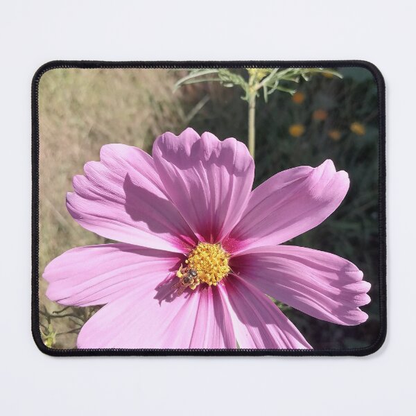 Item preview, Pink Cosmos Flower designed and sold by PhuongVoArt.