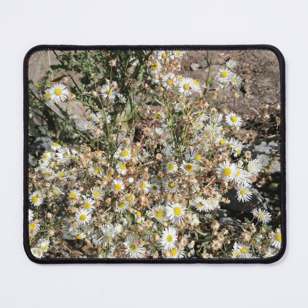 Item preview, White Wildflower Meadow designed and sold by PhuongVoArt.