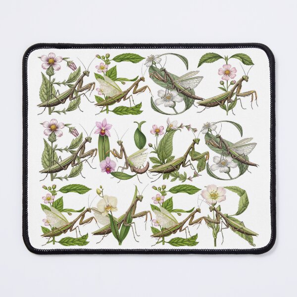Item preview, PRAYING MANTIS BEST BUGS EVER designed and sold by ART-TYPE.
