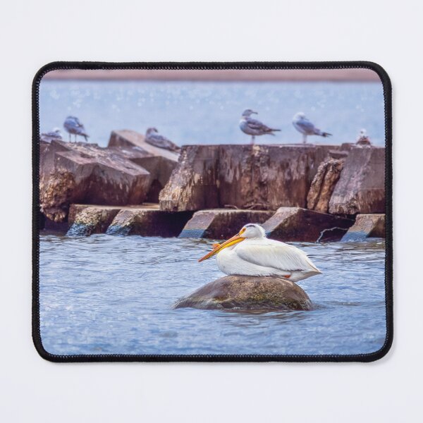 Item preview, Pelican on rock designed and sold by TerraMediaLLC.