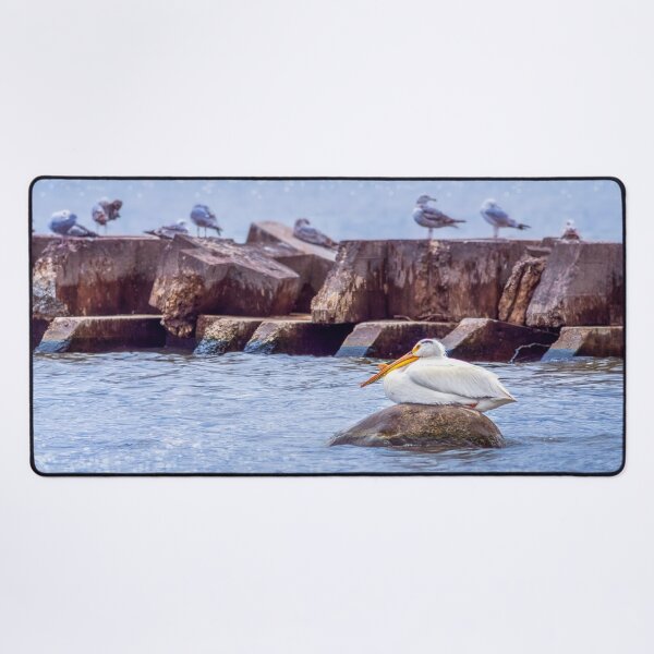 Item preview, Pelican on rock designed and sold by TerraMediaLLC.