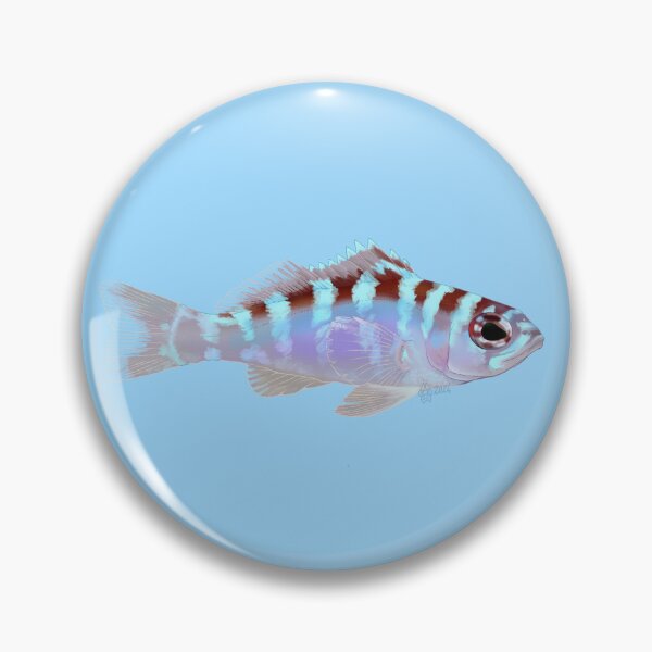 Item preview, Chalk Bass designed and sold by Copperbora.