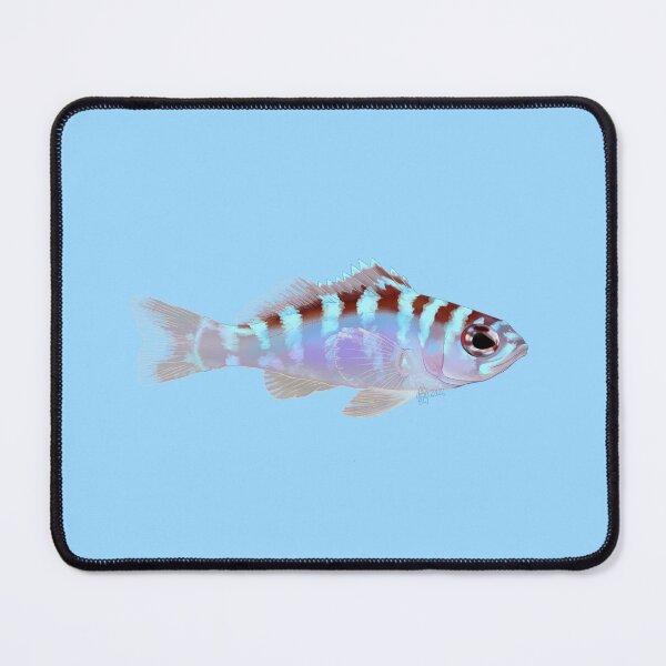 Item preview, Chalk Bass designed and sold by Copperbora.