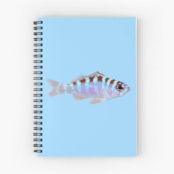 Item preview, Chalk Bass designed and sold by Copperbora.