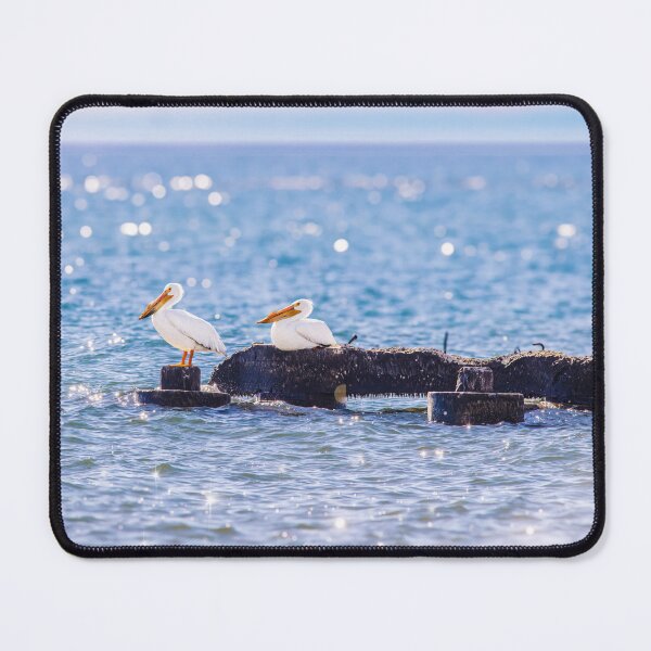 Item preview, Pelican on jetties designed and sold by TerraMediaLLC.