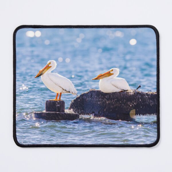 Item preview, Pelicans sitting on jetties designed and sold by TerraMediaLLC.