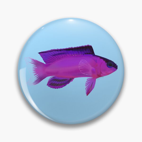 Item preview, Blackcap Basslet designed and sold by Copperbora.