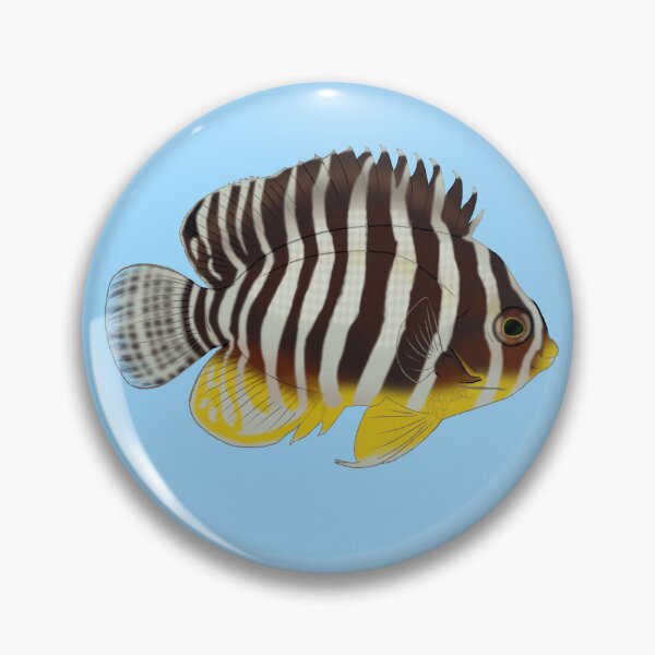 Item preview, Multibar Angelfish designed and sold by Copperbora.