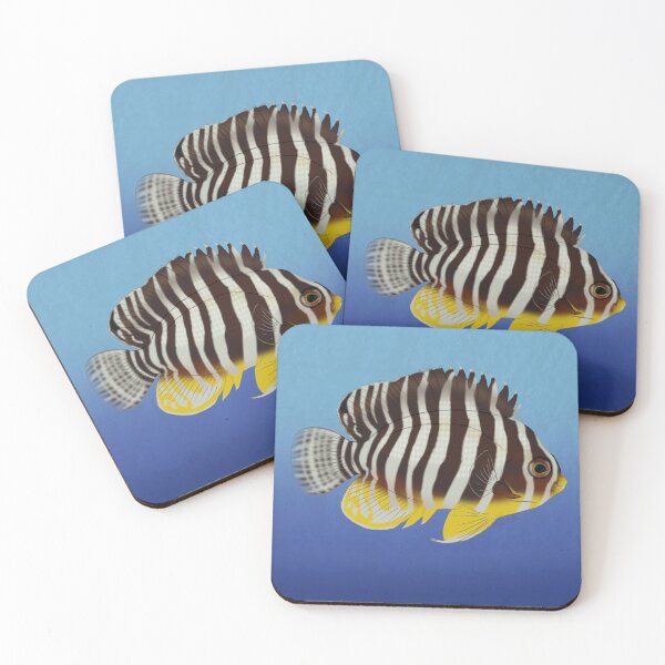 Item preview, Multibar Angelfish designed and sold by Copperbora.