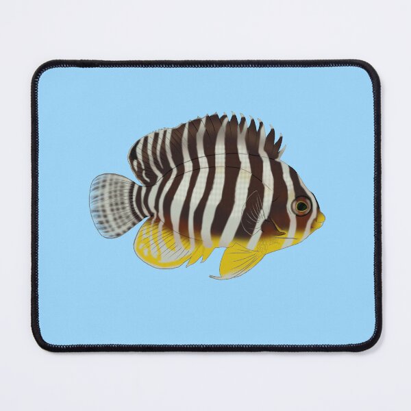 Item preview, Multibar Angelfish designed and sold by Copperbora.