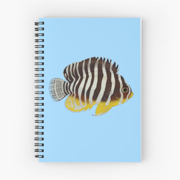 Item preview, Multibar Angelfish designed and sold by Copperbora.