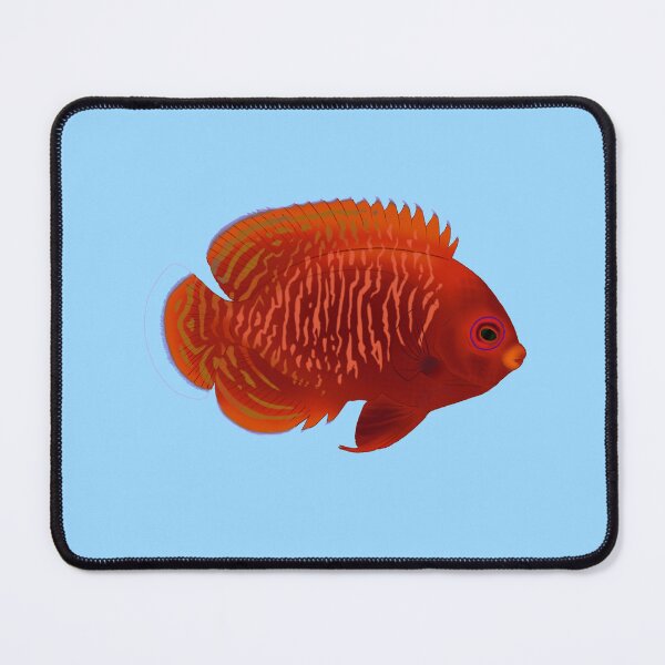 Item preview, Golden Angelfish designed and sold by Copperbora.