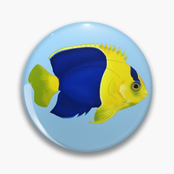 Item preview, Bicolour Angelfish designed and sold by Copperbora.