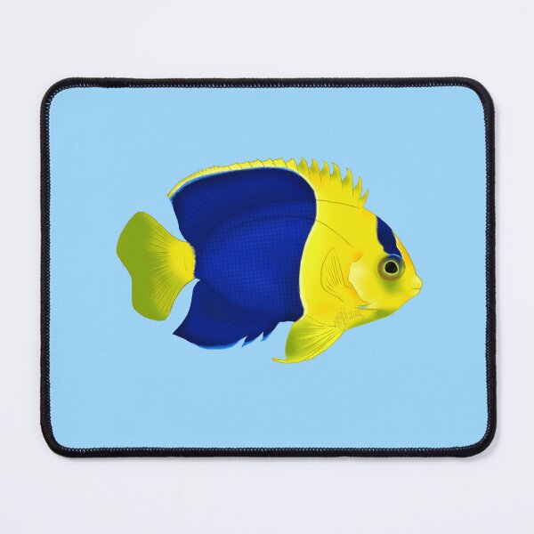 Item preview, Bicolour Angelfish designed and sold by Copperbora.