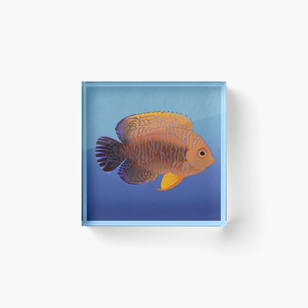 Item preview, Potter's Angelfish designed and sold by Copperbora.