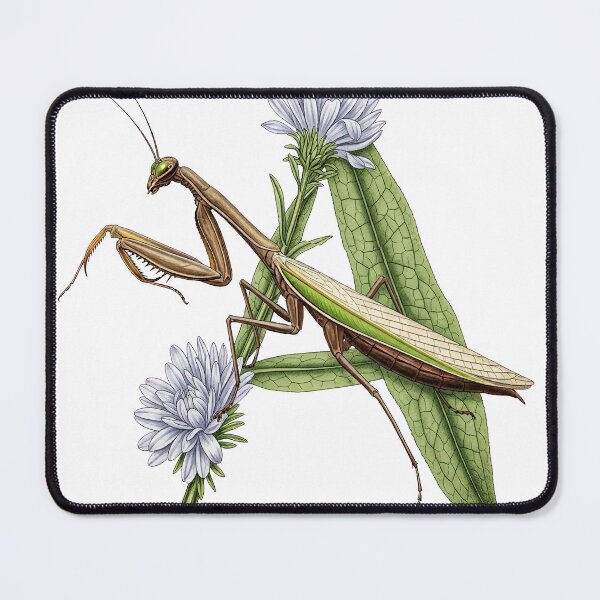 Item preview, PRAYING MANTIS LETTER A designed and sold by ART-TYPE.