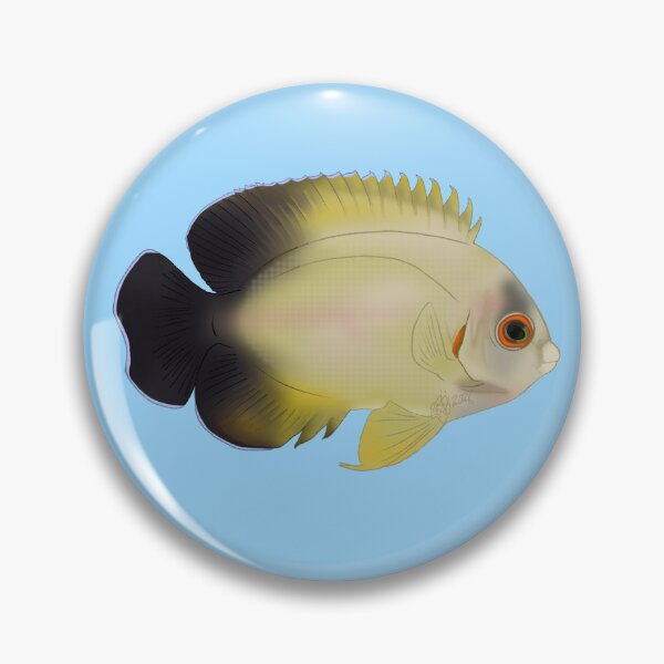 Item preview, Half Black Angelfish designed and sold by Copperbora.