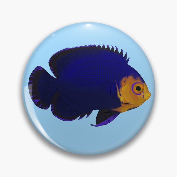 Item preview, Pygmy Cherub Angelfish designed and sold by Copperbora.
