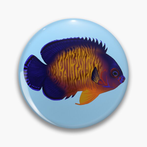 Item preview, Coral Beauty Angelfish designed and sold by Copperbora.