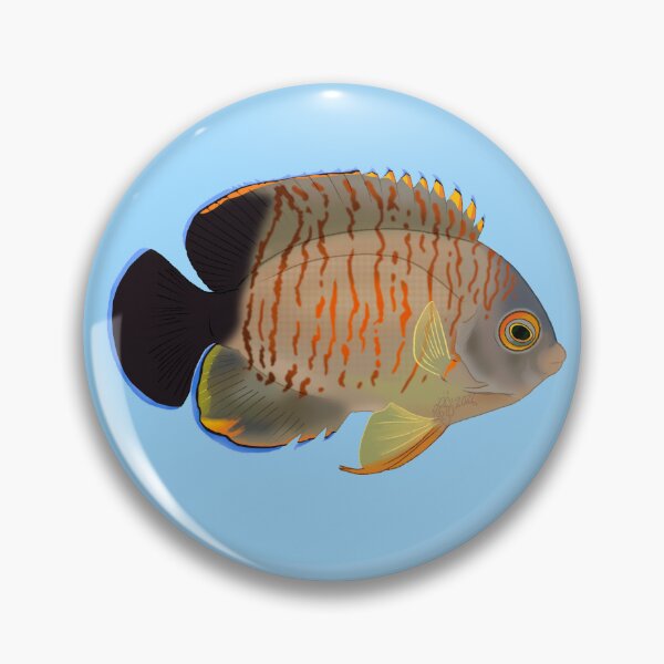 Item preview, Eibli Dwarf Angelfish designed and sold by Copperbora.
