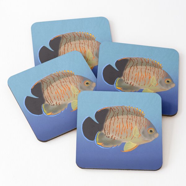 Item preview, Eibli Dwarf Angelfish designed and sold by Copperbora.