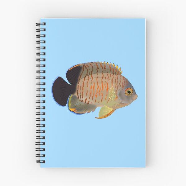 Item preview, Eibli Dwarf Angelfish designed and sold by Copperbora.