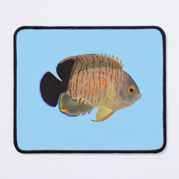 Item preview, Eibli Dwarf Angelfish designed and sold by Copperbora.