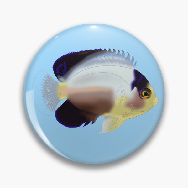 Item preview, Pearlback Dwarf Angelfish designed and sold by Copperbora.