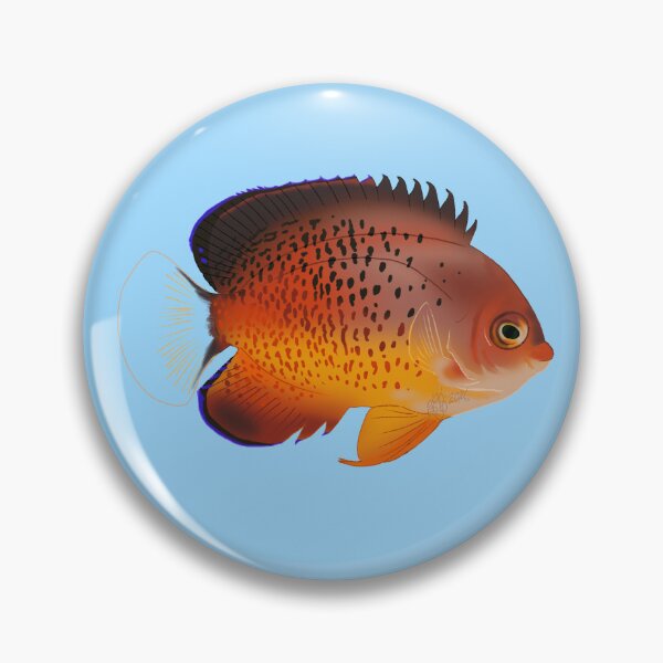 Item preview, Rusty Dwarf Angelfish designed and sold by Copperbora.